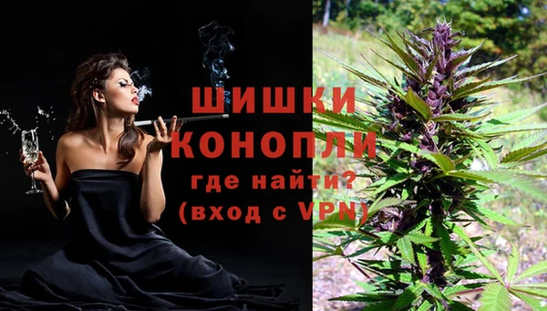 молекула духа Бугульма