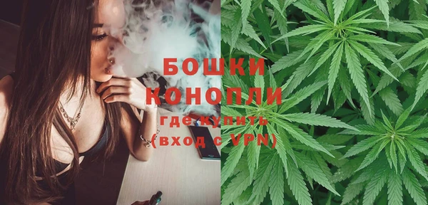 марки lsd Бородино