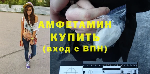 PSILOCYBIN Тайга