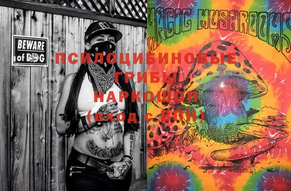 марки lsd Бородино