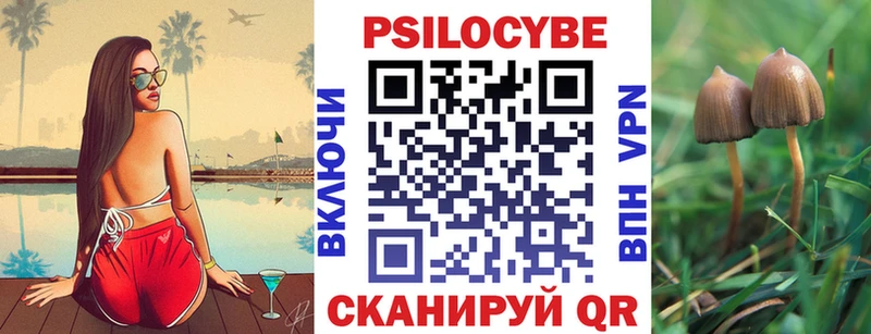 Купить  Петухово  Галлюциногенные грибы мицелий 