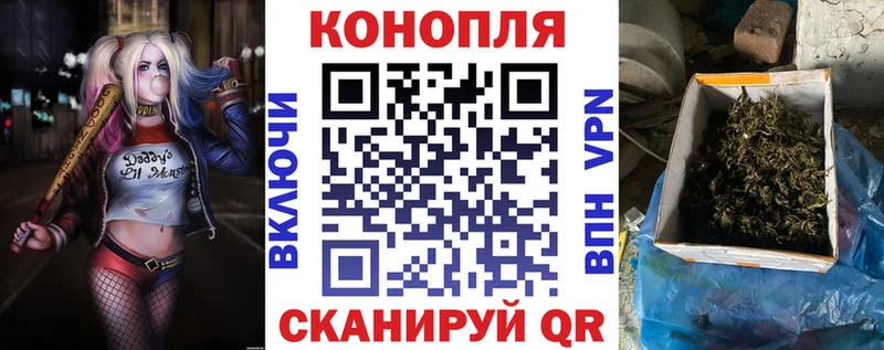 Бошки Шишки Amnesia  Купить закладки  Петухово 